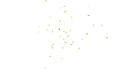 Falling isolated Gold Confetti. Glitter celebration PNG, Falling shiny gold confetti overlay on transparent background. 3d Rendering Transparent Confeti. Glossy golden festive tinsel. party, holiday, 