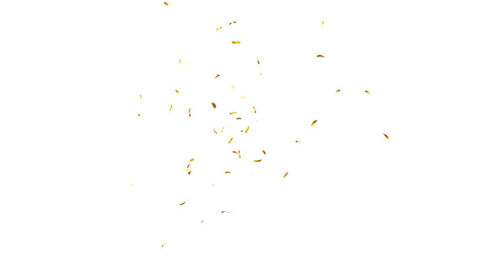 Falling isolated Gold Confetti. Glitter celebration PNG, Falling shiny gold confetti overlay on transparent background. 3d Rendering Transparent Confeti. Glossy golden festive tinsel. party, holiday,  - Powered by Adobe