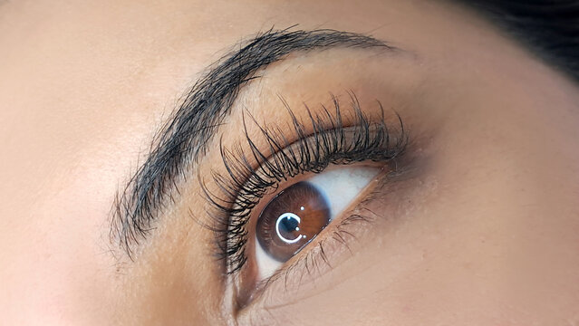 Close up of female eye with eyelash extensions ,eyelash extension procedure - Powered by Adobe