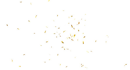 Falling isolated Gold Confetti. Glitter celebration PNG, Falling shiny gold confetti overlay on transparent background. 3d Rendering Transparent Confeti. Glossy golden festive tinsel. party, holiday, 