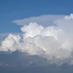 Fototapeta premium Fluffy, white cumulus clouds cluster against a vibrant blue sky, showcasing a dramatic sky scene.