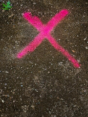 X Marks the Spot. A red X in sprayed fluorescent paint indicates location for digging.