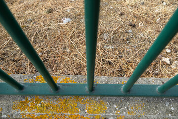 Green metal railing separating dry grass from concrete wall with yellow lichen