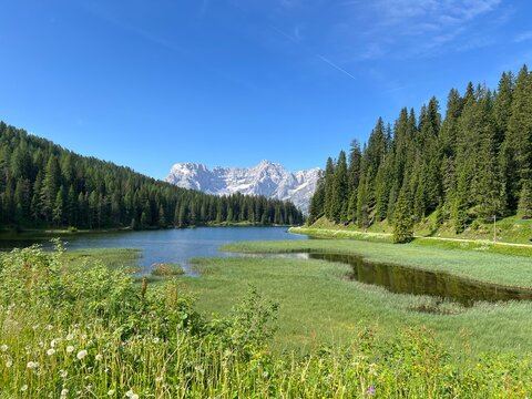 Auronzo