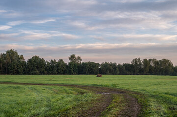 Dirt road in a meadow at dawn.