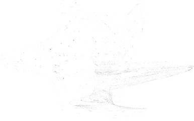 Sprayed black texture .Graffiti art design . Noise dispersion logo . Spray effect .Grunge, grainy, gritty texture . Distressed element .vector 