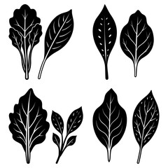 Fototapeta premium Illustration of eight black leaves with different shapes and vein patterns on a white background vector graphic