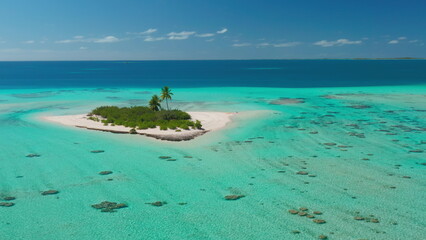 Aerial view of a small desert island with palm trees surrounded by a turquoise lagoon and a coral...
