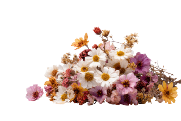 Dried flower bouquet arrangement