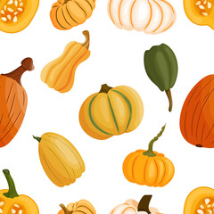 Seamless vector pattern with pumpkin. For Thanksgiving, card, print, Halloween party. Hand drawn illustration. Pumpkin background.