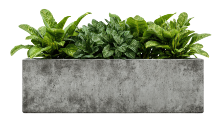 Gray concrete planter box filled with various greenery (2)
