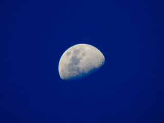 Half moon in the dark blue sky