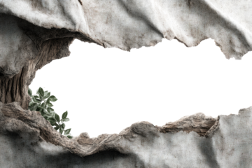 Abstract paper cave with plant