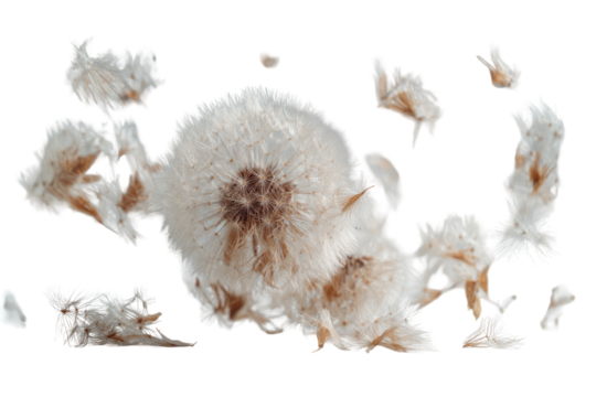 Close-up of fragmented, light-colored organic matter with dark brown spots