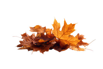 Obraz premium Autumn leaves cluster close-up