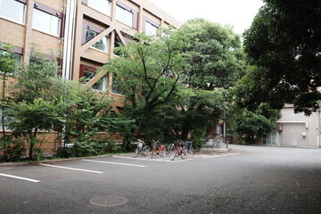 japan, tokyo, travel, kissaten, cafe, traditional, classic, retro, place, interior, deisign