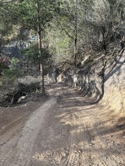 Camino en el campo de vehículos