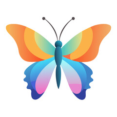 butterfly vector illustration