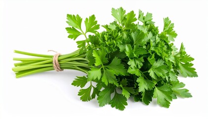 Fresh parsley herb bunch with green leaves crisp texture aromatic garnish organic food isolated on white background
