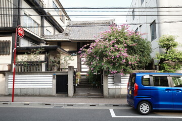 japan, tokyo, travel, kissaten, cafe, traditional, classic, retro, place, interior, deisign