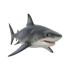 Fototapeta premium Great White Shark with Open Mouth and Sharp Teeth marine life ocean isolated on a transparent background
