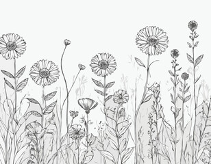 Wild flowers in the field border sketch hand drawn Vector illustration.