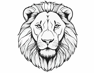 Lion portrait lion head sketch hand drawn engraving style Wild animals Vector illustration