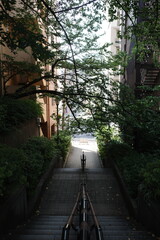 japan, tokyo, travel, kissaten, cafe, traditional, classic, retro, place, interior, deisign