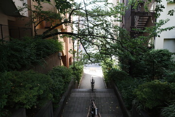 japan, tokyo, travel, kissaten, cafe, traditional, classic, retro, place, interior, deisign