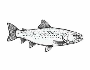 Trout fish in hand drawn strokes.Vector illustration.