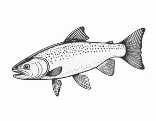 Trout fish in hand drawn strokes.Vector illustration.
