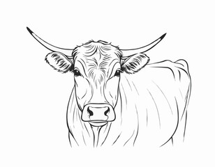 Naklejka premium Farm cow hand drawn sketch illustration, Livestock