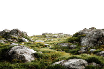 Rocky hillside landscape