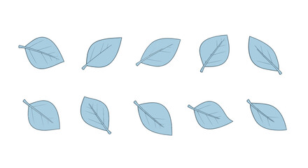 Delicate leaves in a soft blue hue, perfect for elegant designs and nature-inspired themes