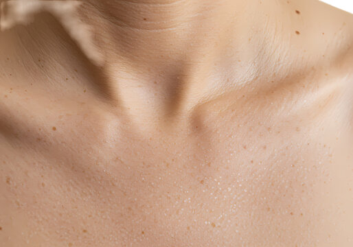 Close-up of Female Neck and Collarbone: Smooth Skin Texture