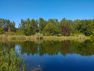 ​A pristine lake surface reflects the vibrant colors of the autumn trees, creating a symmetrical and tranquil view.