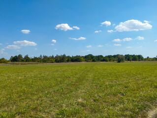 Vast green fields stretch out under a bright blue sky with white clouds drifting by. The forest on the horizon adds to the feeling of spaciousness and serenity on a warm summer day.