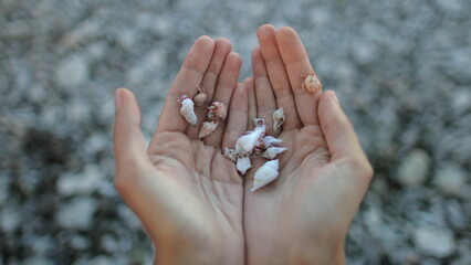 A person is shown with their hands held in front of them, adorned with shells. The shells are...