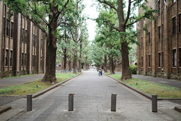 tokyo travel, acian architecture, summer, design