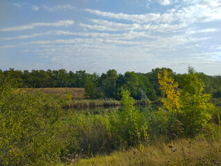 ​A peaceful autumn landscape with a calm body of water surrounded by lush vegetation showing hints of yellow and green foliage under a serene sky with streaky clouds. The image conveys a tranquil atmo