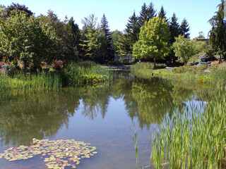 Summer landscape of the park with trees and pond