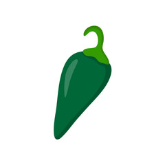 Green Chili Pepper on White Background. Vector Illustration