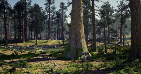 Obraz premium Lush greenery fills a peaceful forest with towering trees. Sunlight breaks through the canopy, casting soft shadows on the forest floor. A tranquil stream flows gently nearby.