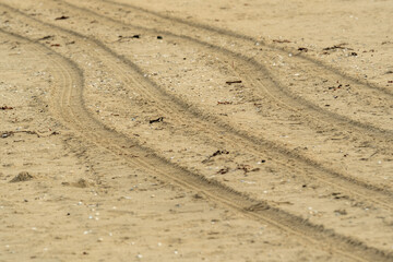 Naklejka premium Tire tracks crossing sandy beach leaving trails in the sand
