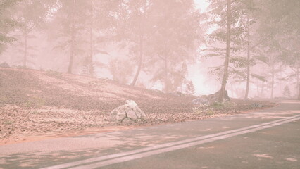 A serene forest pathway emerges from the mist, lined with trees and scattered leaves. The soft morning light creates an ethereal atmosphere, inviting exploration and reflection.