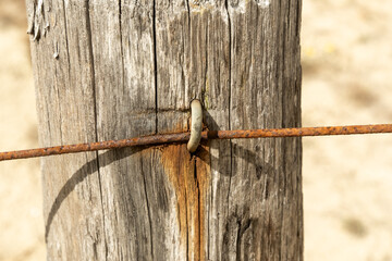 Rusty wire held by metal ring on weathered wooden post