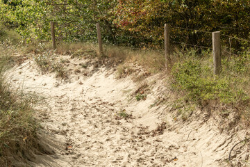 Sandy path winding through coastal dunes with rustic wooden fence