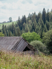 Old abandoned wooden cabin in the pine forest in the mountains.