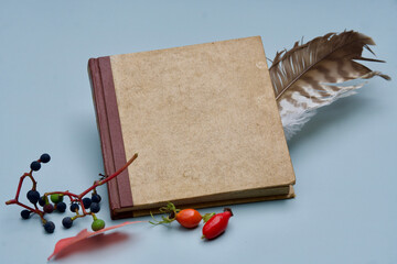 Ein geschlossenes Buch mit einer Bussard Feder, Beeren, auf blauem Grund..