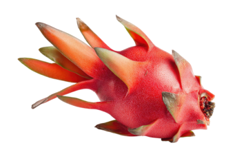Close-up of a vibrant red dragon fruit (1)